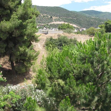 Aiolos Loutra Edipsou  Buitenkant foto